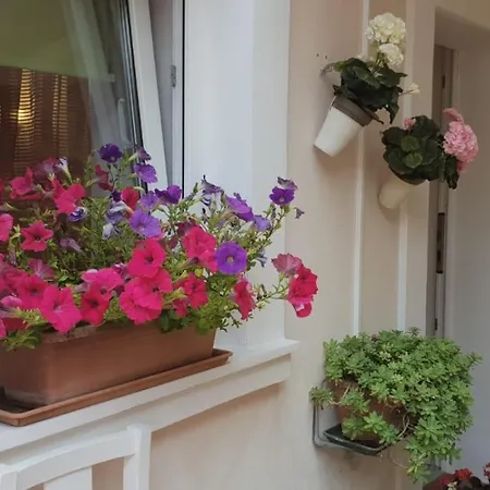 Asja Old Center * Pula