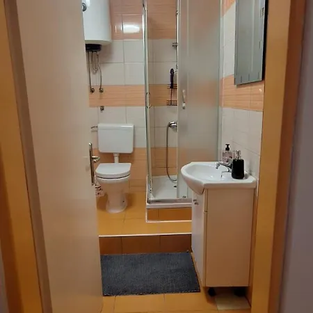 Asja Old Center 아파트 풀라