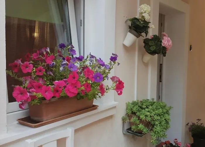 Asja Old Center * Pula